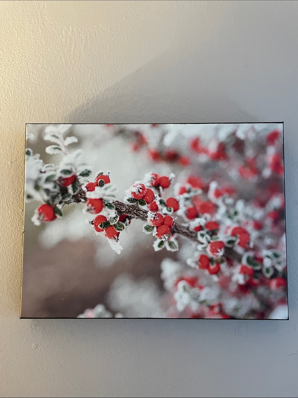 Winter Berry Wall Art Canvas Print - Red and Green